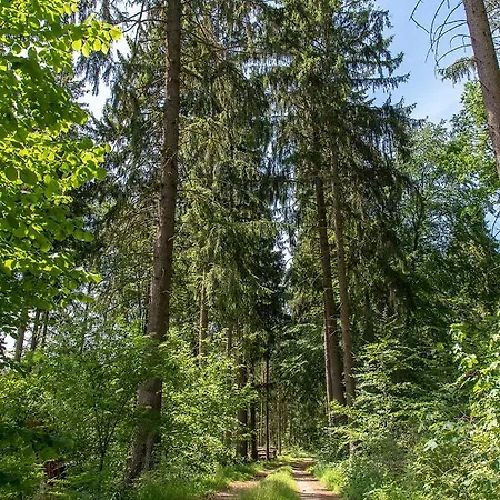 Bungis Ferien Direkt Am Grimnitzsee, Karree 02 *